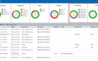 Understanding the Fortigate Vulnerability