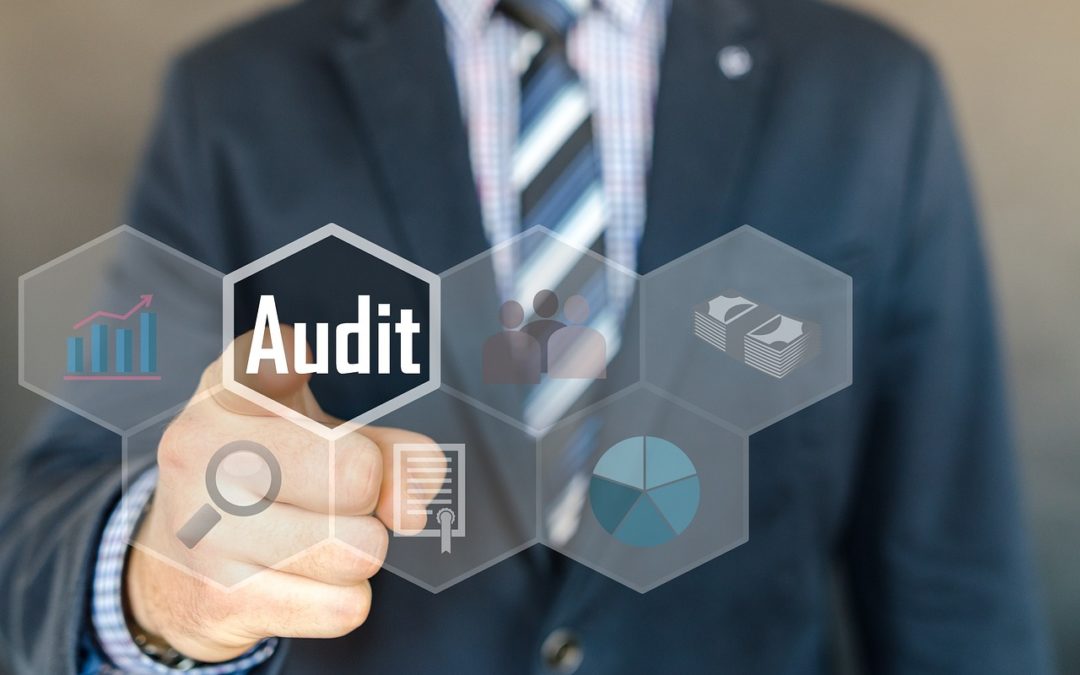 Cybersecurity Audit - Business Guide